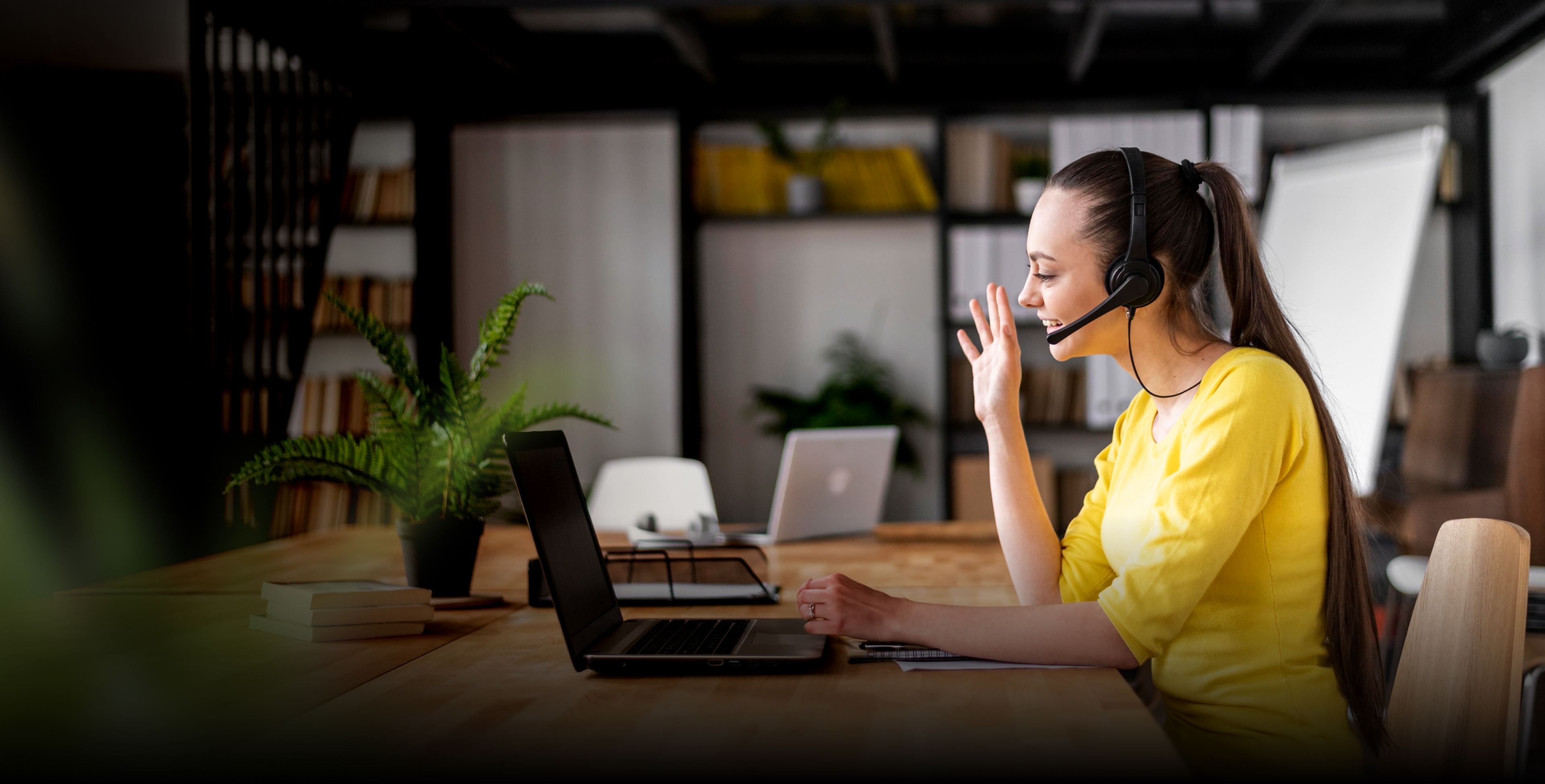 A featured image for this section