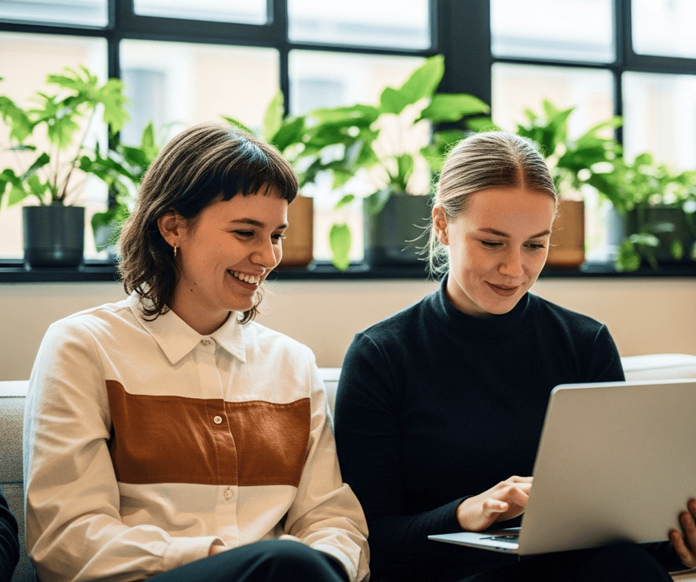 A featured image for this section